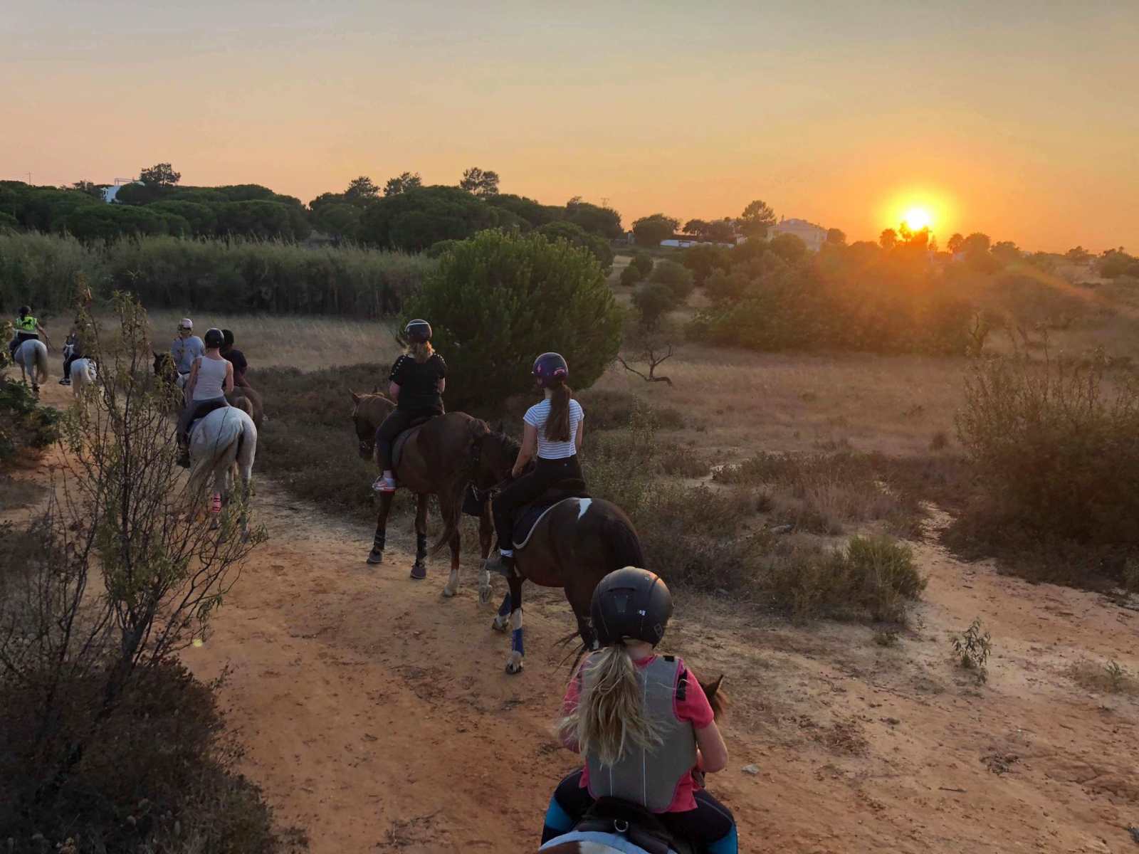 Albufeira Riding Centre | Horse riding in the Algarve