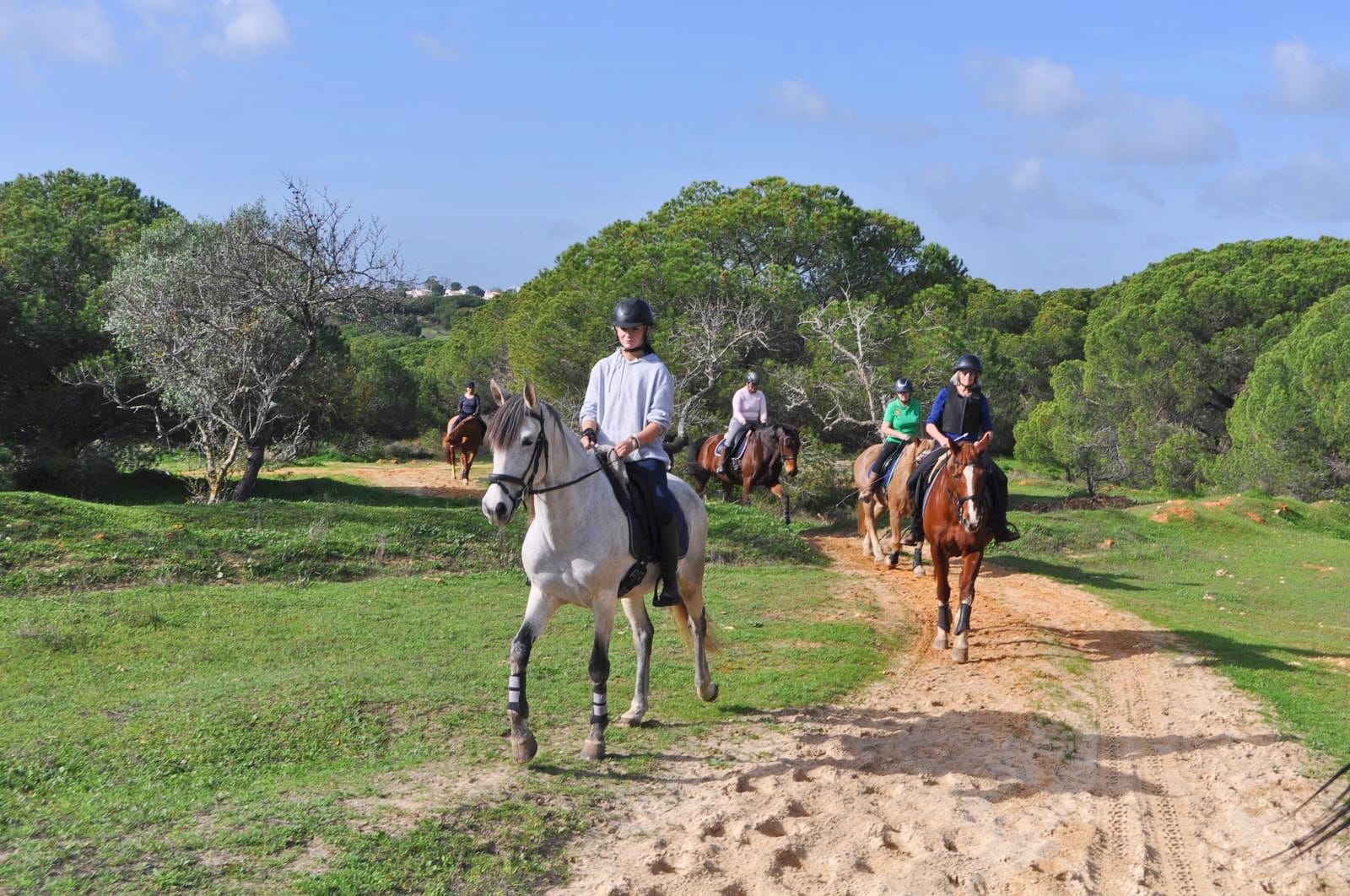 Albufeira Riding Centre | Horse riding in the Algarve