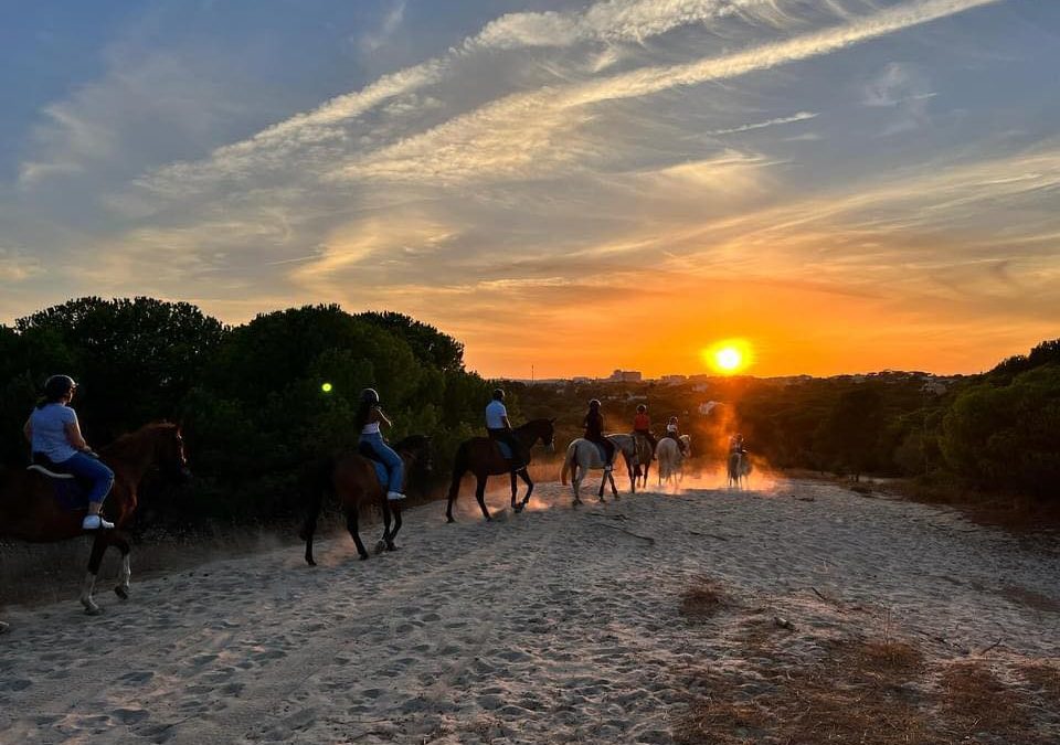Special – Sunset Trek