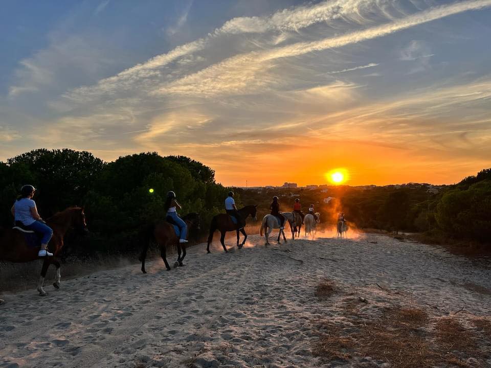 Albufeira Riding Centre | Horse riding in the Algarve