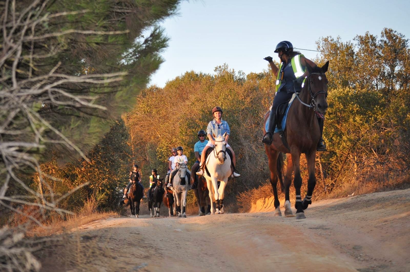 Albufeira Riding Centre | Horse riding in the Algarve