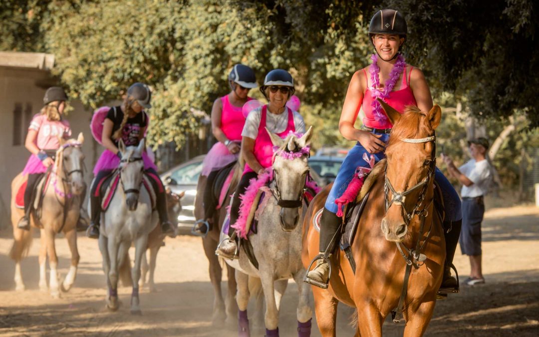 Adults Pony Party – Trek & Tapas Experience