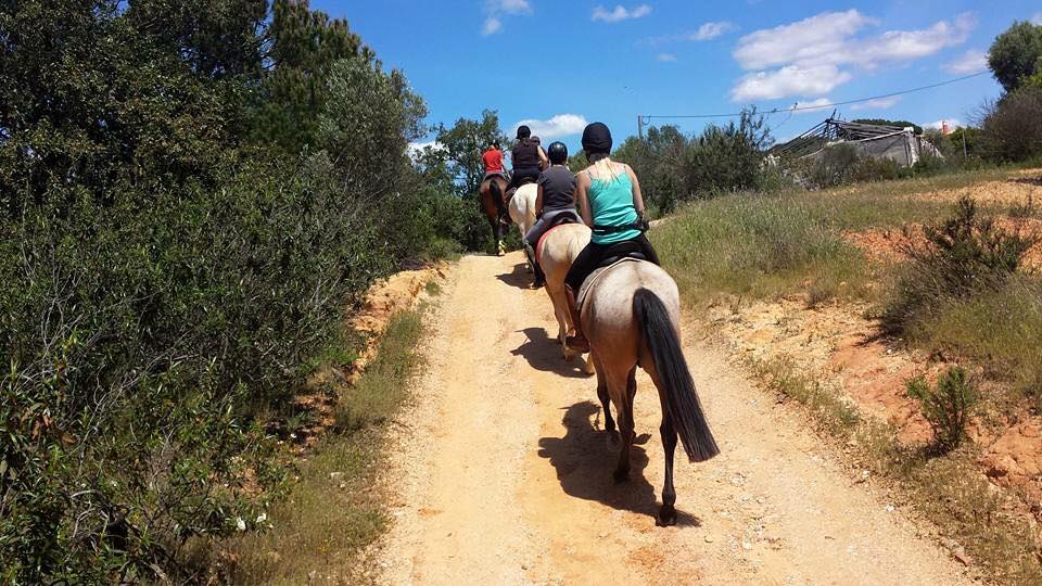 Albufeira Riding Centre | Horse riding in the Algarve