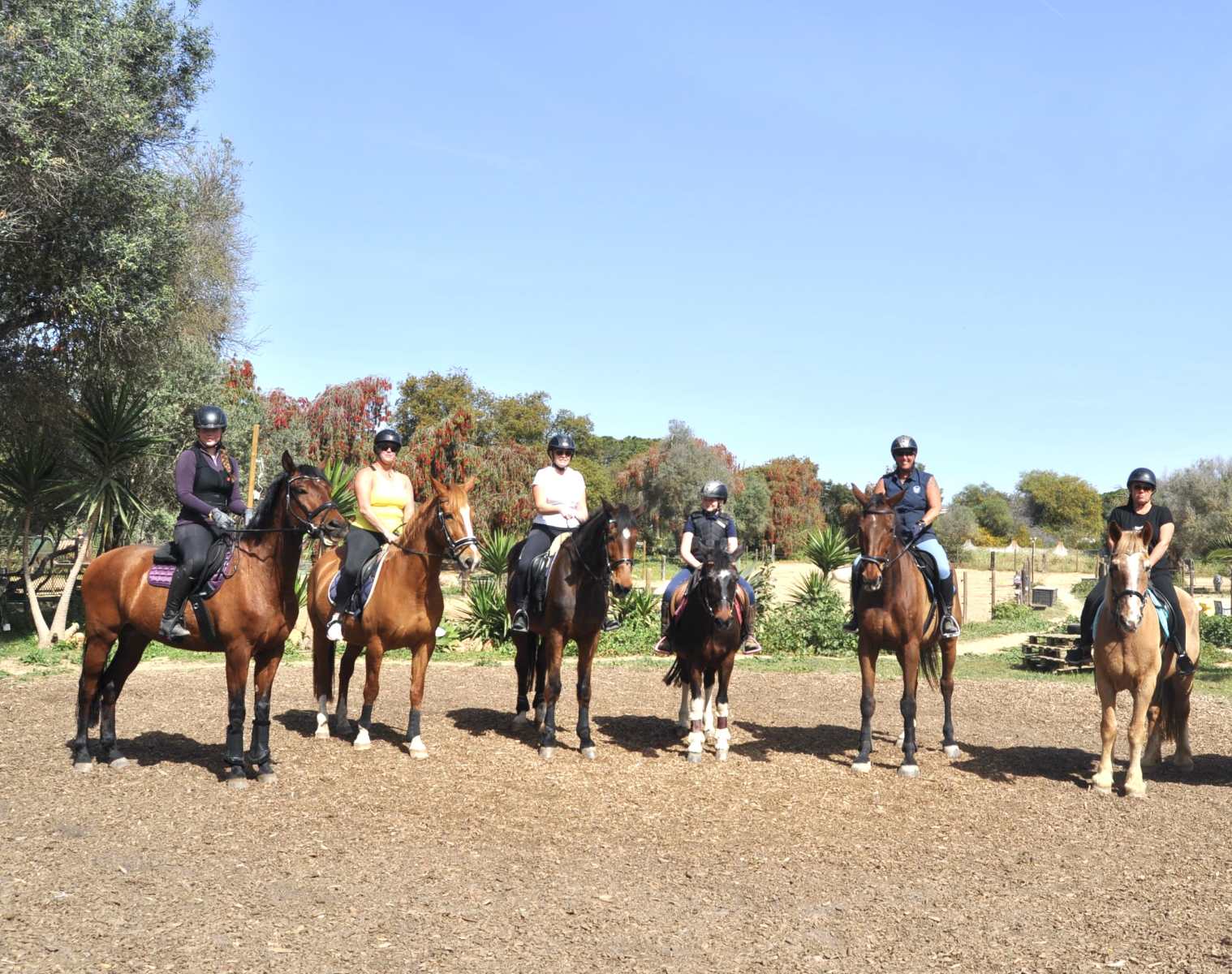 Albufeira Riding Centre | Horse riding in the Algarve