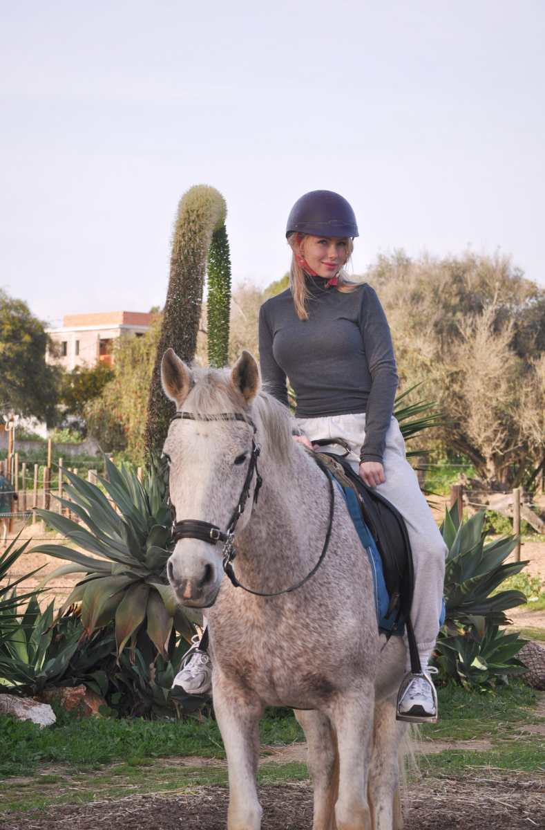Alma Riding Club OUR HORSES | Albufeira Riding Centre